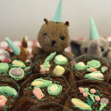 Load image into Gallery viewer, Muddy Garden Delight